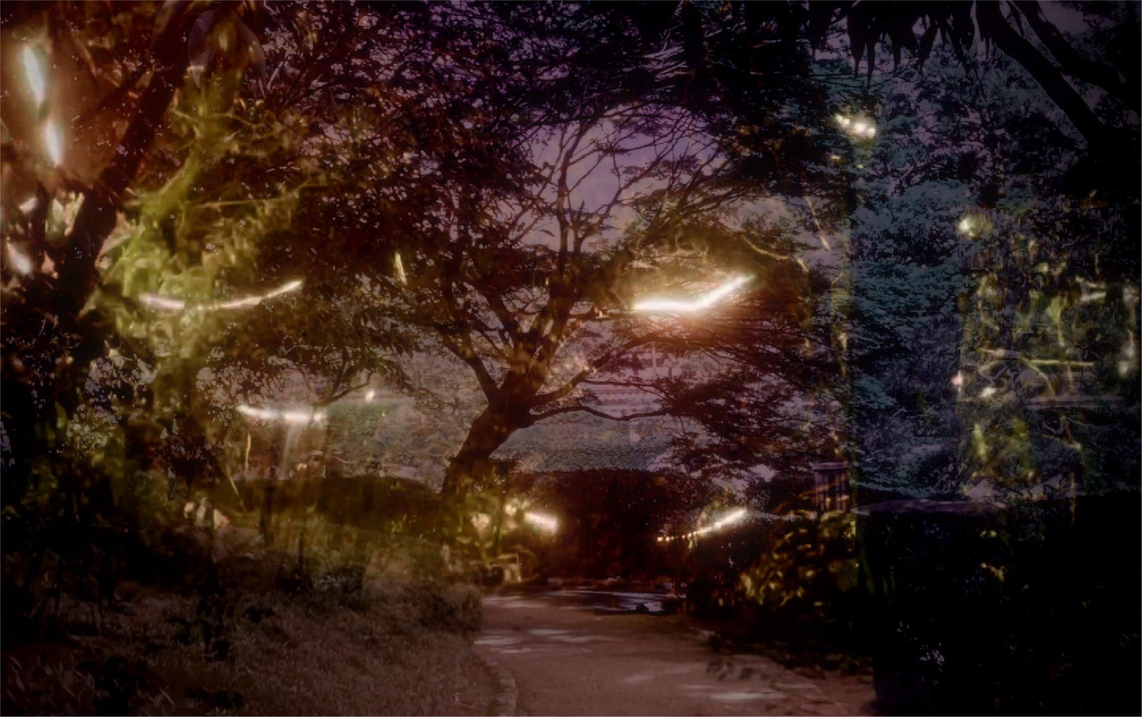 Spark (閃　光)
